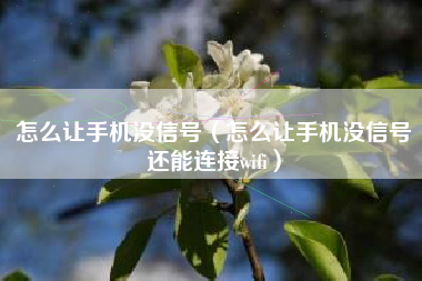 怎么让手机没信号（怎么让手机没信号还能连接wifi）