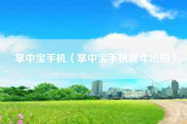 掌中宝手机（掌中宝手机哪年出的）