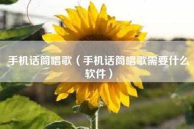 手机话筒唱歌（手机话筒唱歌需要什么软件）