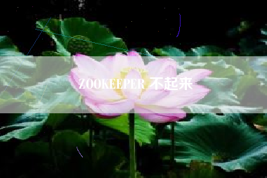 ZOOKEEPER 不起来