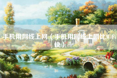 手机用网线上网（手机用网线上网比WiFi快）