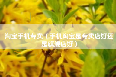 淘宝手机专卖（手机淘宝是专卖店好还是旗舰店好）