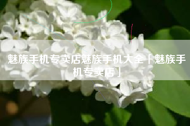 魅族手机专卖店魅族手机大全「魅族手机专卖店」