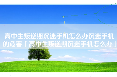 高中生叛逆期沉迷手机怎么办沉迷手机的危害「高中生叛逆期沉迷手机怎么办」