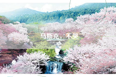 马斯克，不哭