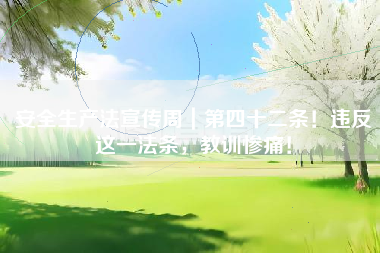 安全生产法宣传周｜第四十二条！违反这一法条，教训惨痛！