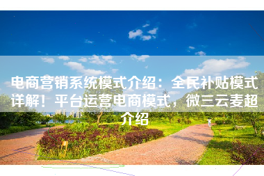 电商营销系统模式介绍：全民补贴模式详解！平台运营电商模式，微三云麦超介绍
