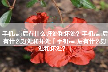 手机root后有什么好处和坏处？手机root后有什么好处和坏处「手机root后有什么好处和坏处？」