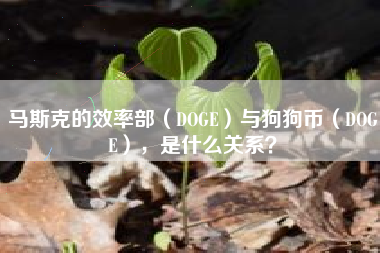 马斯克的效率部（DOGE）与狗狗币（DOGE），是什么关系？
