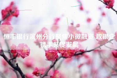 恒丰银行滨州分行聚焦小微融资 政银企携手共促发展
